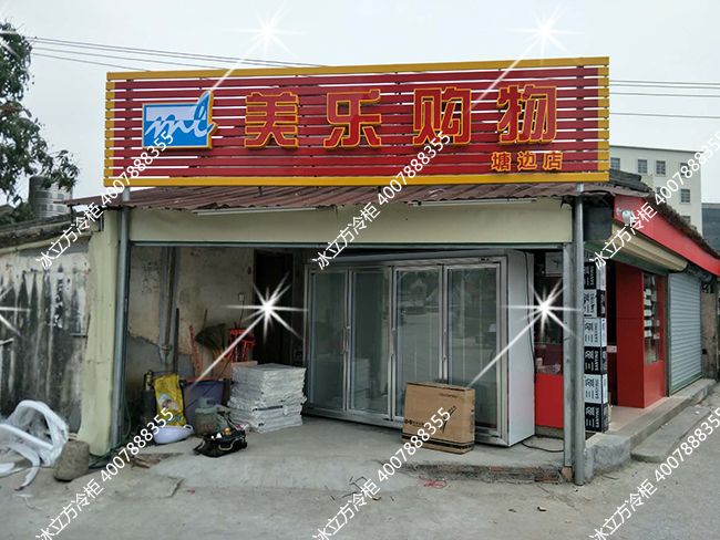 （揭陽）普寧市塘邊美樂購物四門平頭柜展示柜冷柜
