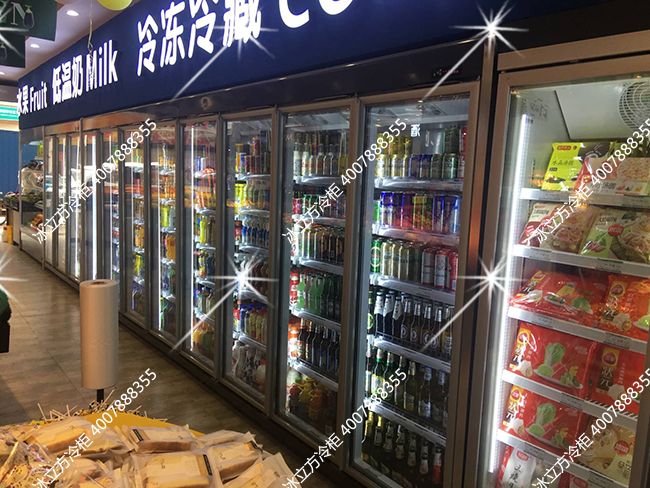 龍崗匯樂購11門冰柜2門冷凍冷藏柜2.5米生肉柜