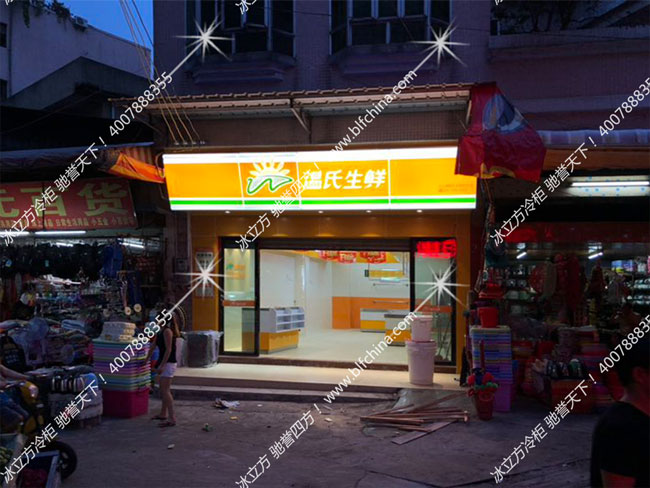 冰立方冷柜|冰立方冰箱|冰立方鮮肉柜