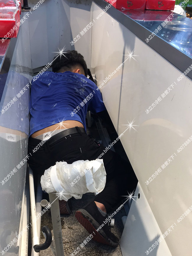 陽江冰柜大全