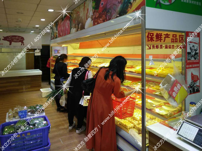 冰立方冷柜|冰立方冰箱|冰立方保鮮柜
